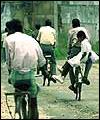 Tamils in Jaffna area